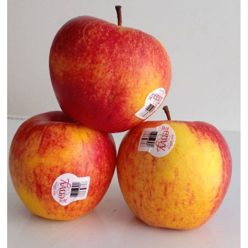 

BUAH APEL ENVY NZ/USA JUMBO SEGAR DAN MANIS 1 KG