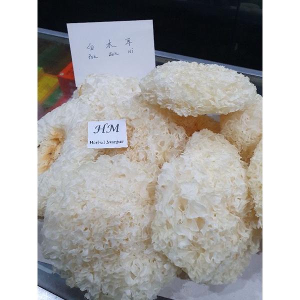 

Pek Bok Ni / Jamur Putih / Natural Snow White Fungus