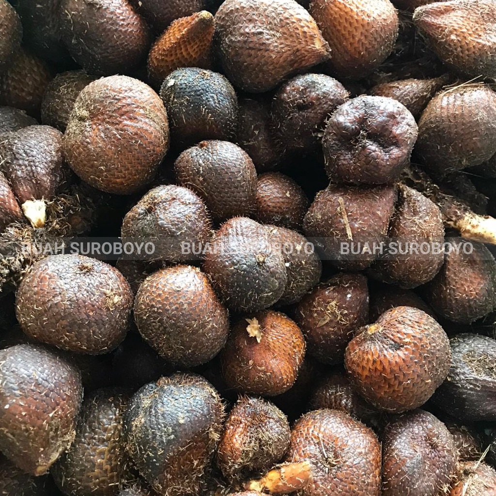 

Salak Bali/Salak Gula Pasir