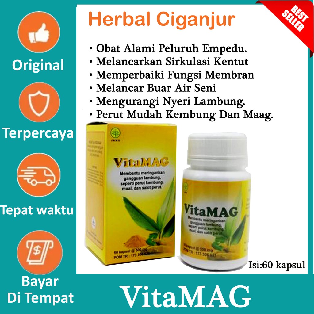 Vitamag Herbal Insani Untuk Maag Isi 60 kapsul