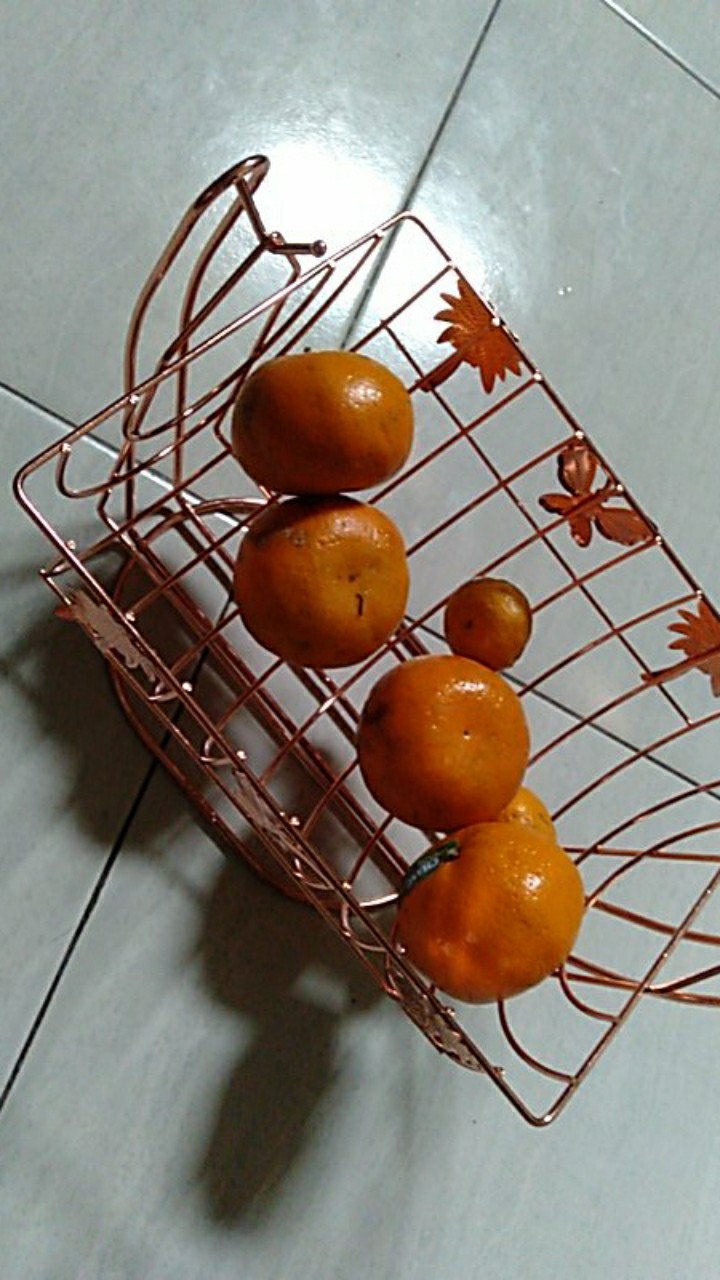 Bistro Ob-11101-rose Oblong Fruit Basket Rose Gold Tempat Buah / Rak Buah