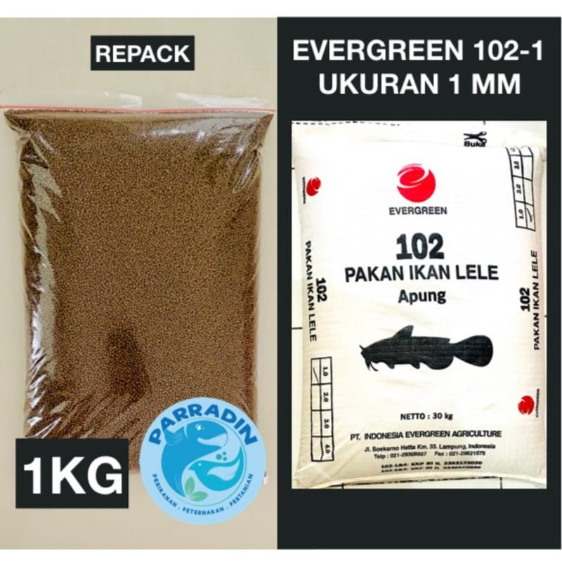 PAKAN IKAN LELE APUNG EVERGREEN 102-1 Repack 1KG Ukuran 1MM