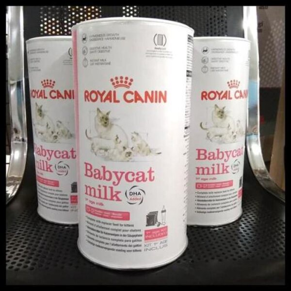 Royal Canin Babycat Milk 300gr 300 gr Susu Baby Cat Anak Kucing Kitten