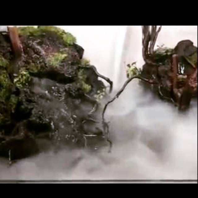pembuat kabut aquarium kolam mist maker 24v aquascape aqua humidifier
