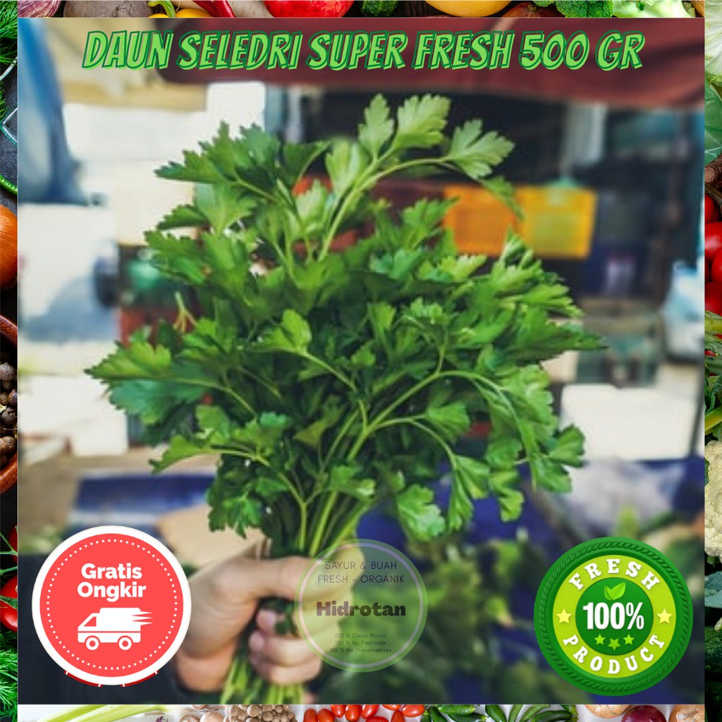 

Daun Seledri 500 gr Sayuran Segar Murah | Paket Makanan Sayur | Combo Fresh - Free Emas