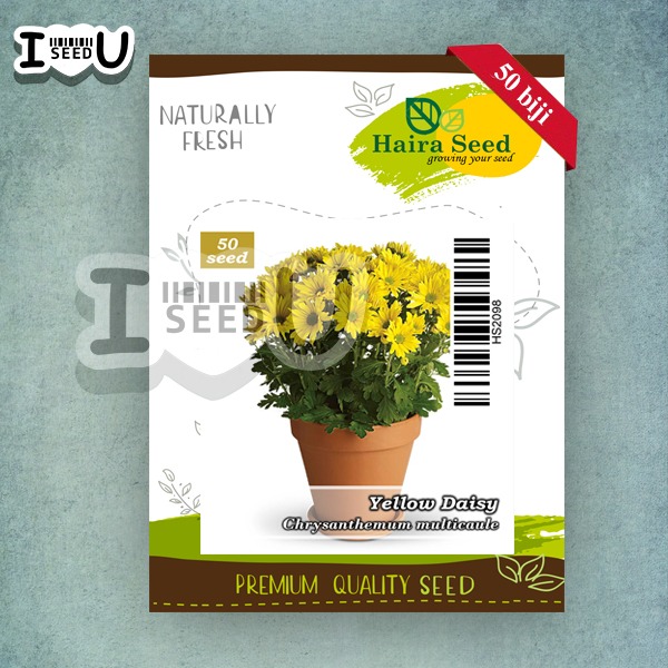 Haira Seed Bibit-Biji Bunga Yellow Daisy