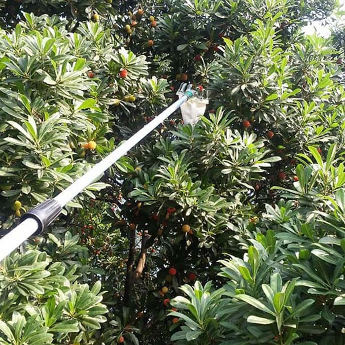 ALAT PETIK BUAH JANGKAR BUAH FRUIT PICKER