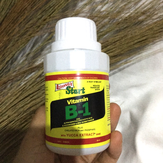 Liquinox Vitamin B1