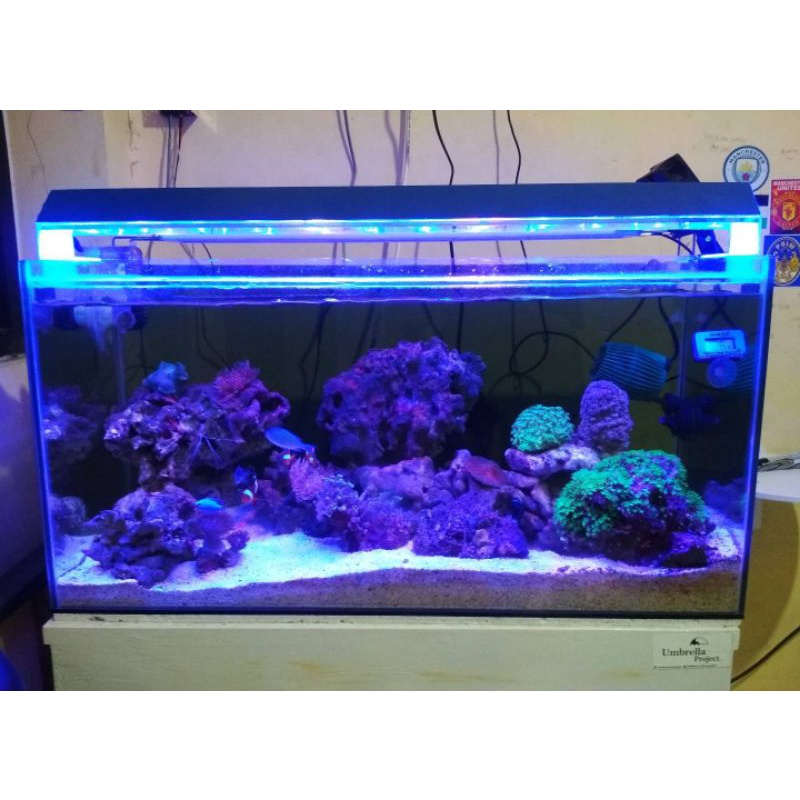 Lampu Aquarium Laut HPL 16-24watt 50 cm frame kaca cermin