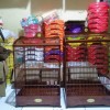sangkar bnr reborn kotak natural ready no 1&2