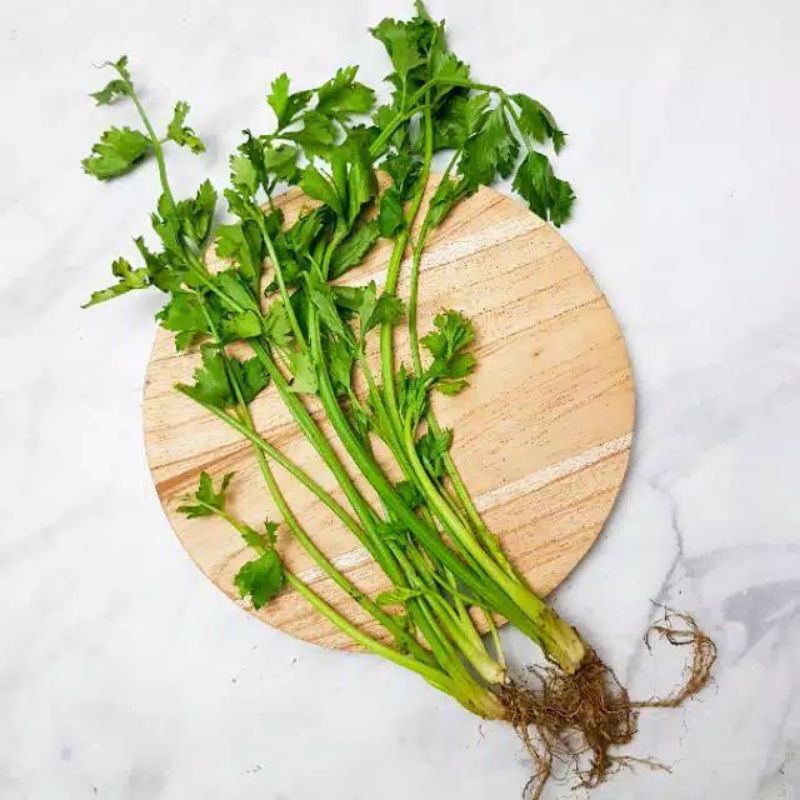 

seledri fresh - sayuran seledri segar
