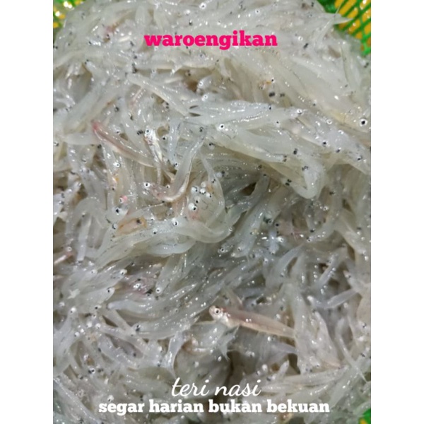

Ikan teri nasi teri medan segar harian 500g