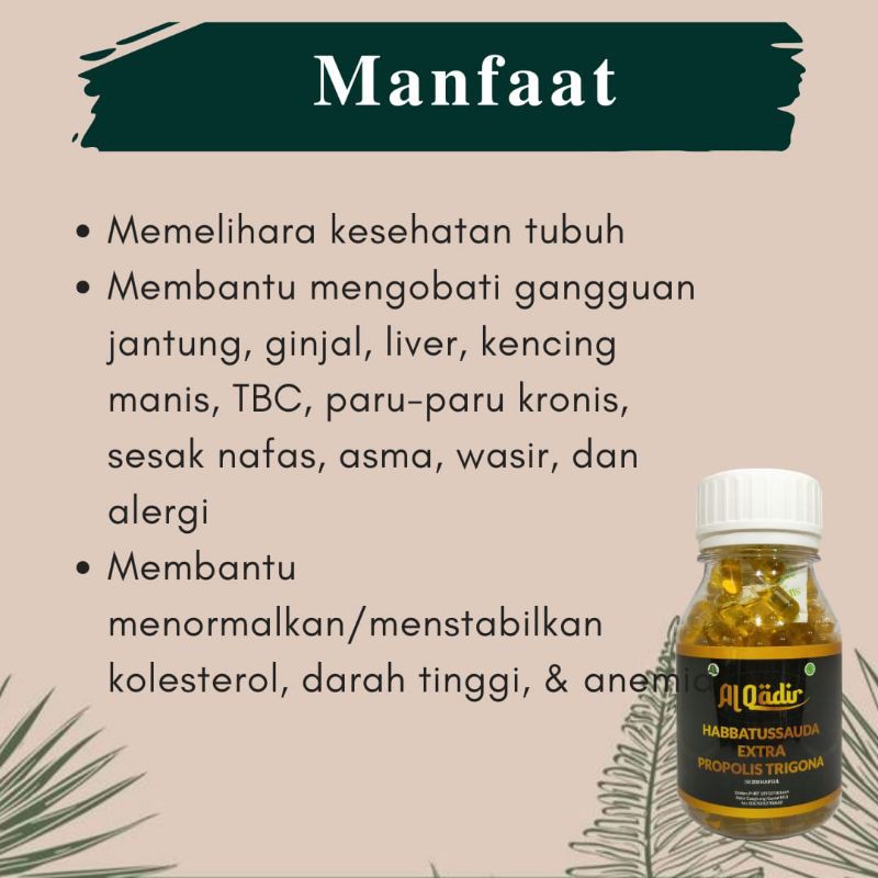 Promo Habbatusauda extra propolis trigona 200kapsul