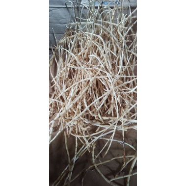 

akar alang alang fres 500gram