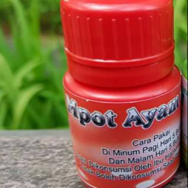 

Empot ayam momoidea
