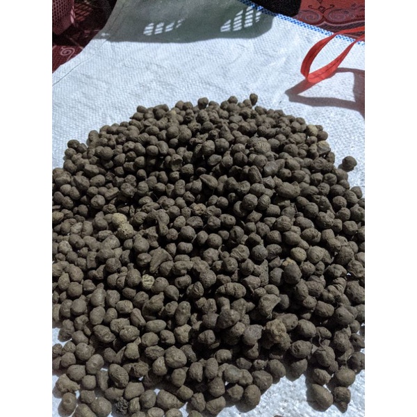 

katak porang 1 kg isi 200-600