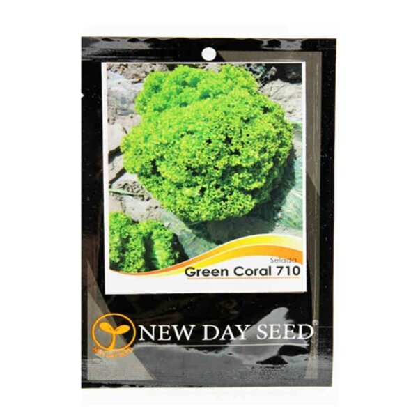Benih Bibit Selada Green Coral Hijau New Day Seed Lettuce Hidroponik