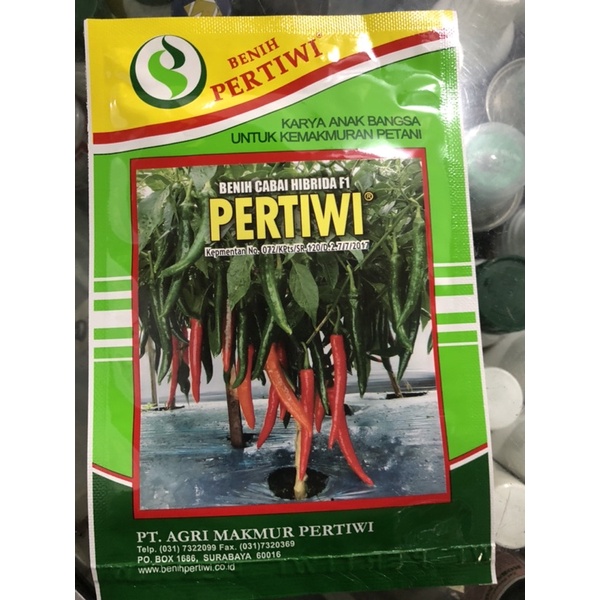 benih cabe Besar Hibrida PERTIWI F1 kemasan 10Gr