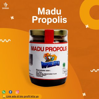 

Madu asli propolis wilbi 300 gram