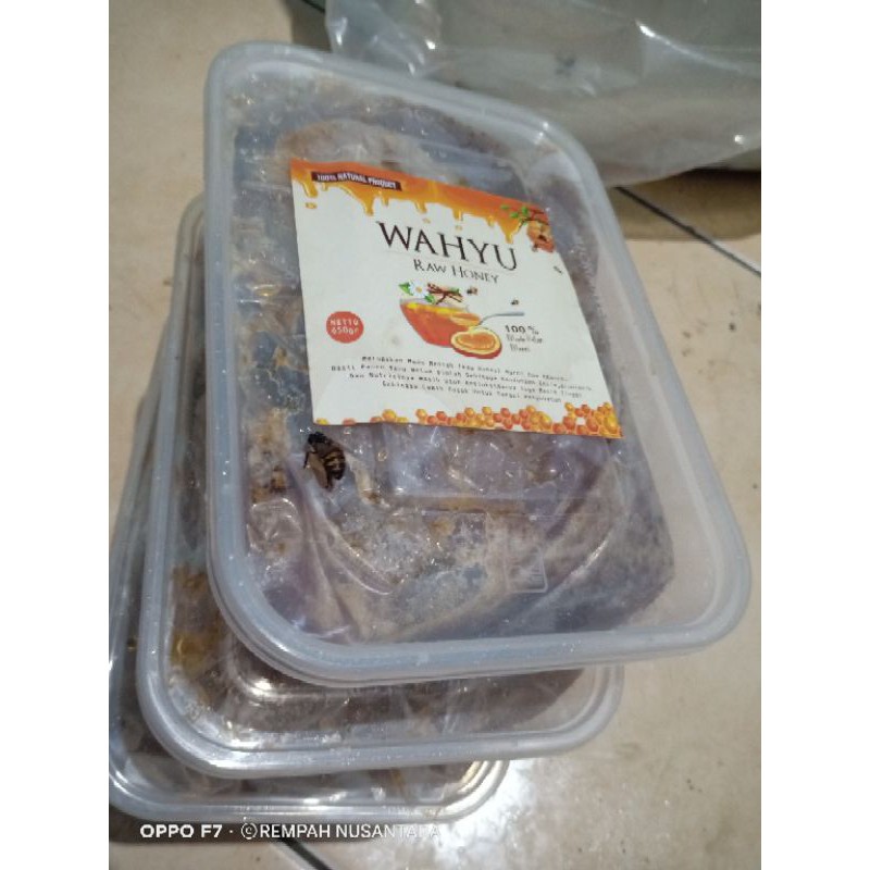 

madu sarang liar termurah