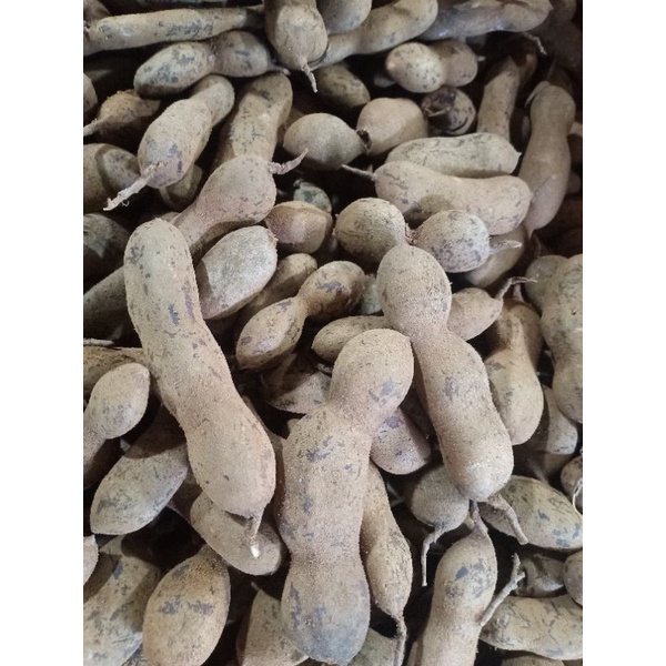 

Biji Asam 1 kg fresh.