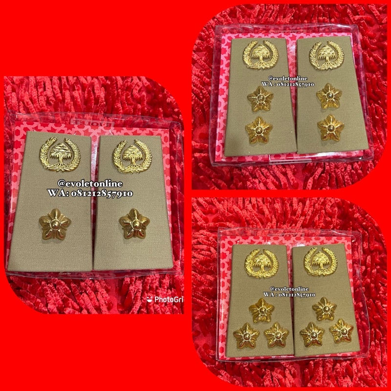 pangkat ASN PNS BENGKULU PALEMBANG golingan 4A 4B 4C IVa IVb IVc