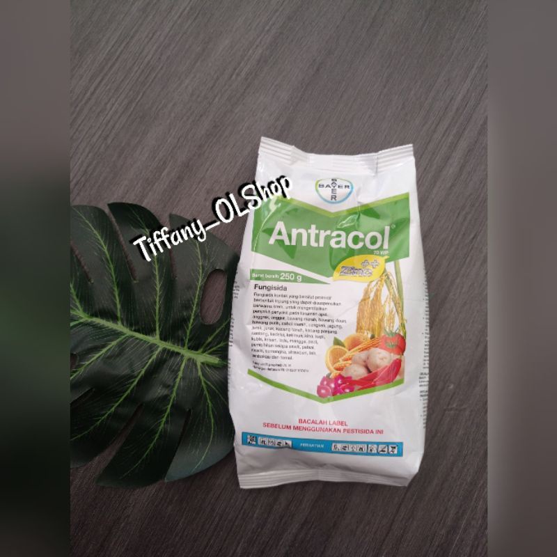 Fungisida Antracol 70 WP + Zinc 250Gr  - Pembasmi Infeksi Tanaman Jamur, Bercak &amp; Cacar Sistemik Ampuh