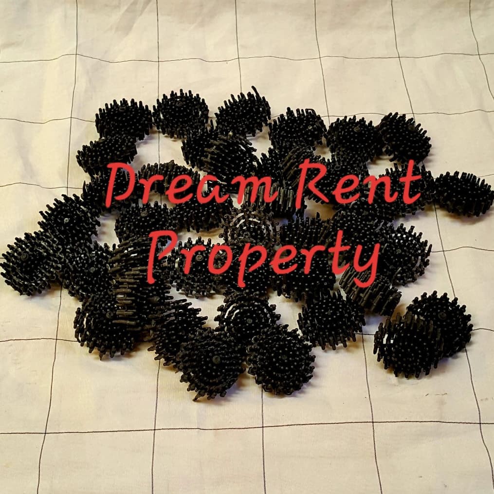 Bioball Rambutan Bio Ball Rambutan