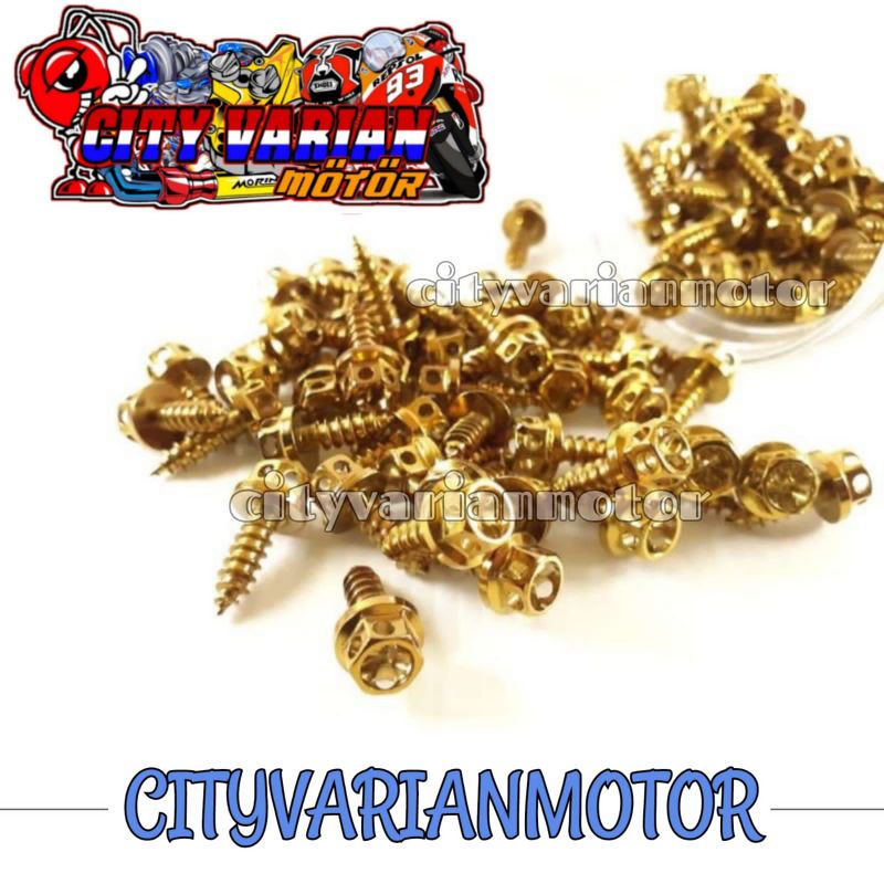 CVM BAUT PROBOLT BODY HENG HONDA YAMAHA NMAX AEROX LEXI MIO BEAT VARIO PCX SCOOPY NEW MX Harga 1 pcs