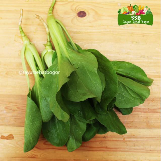 

Pakchoy Organik 250g Sayur Sehat Bogor