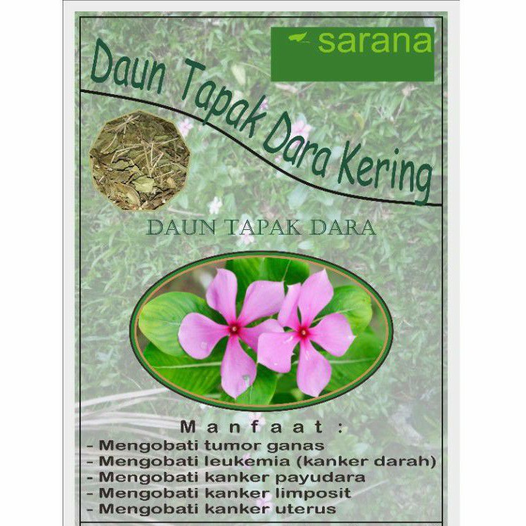 

Daun Tapak Dara Kering 250gr Asli Manfaat Untuk Tumor Kanker