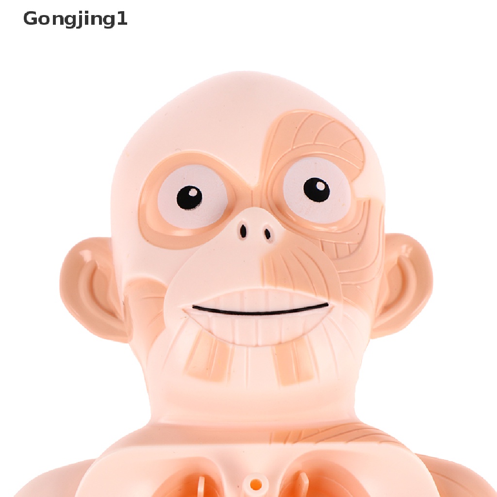 Gongjing1 Mainan puzzle Rakitan Anatomi Tubuh Manusia 3d DIY Untuk Edukasi Anak