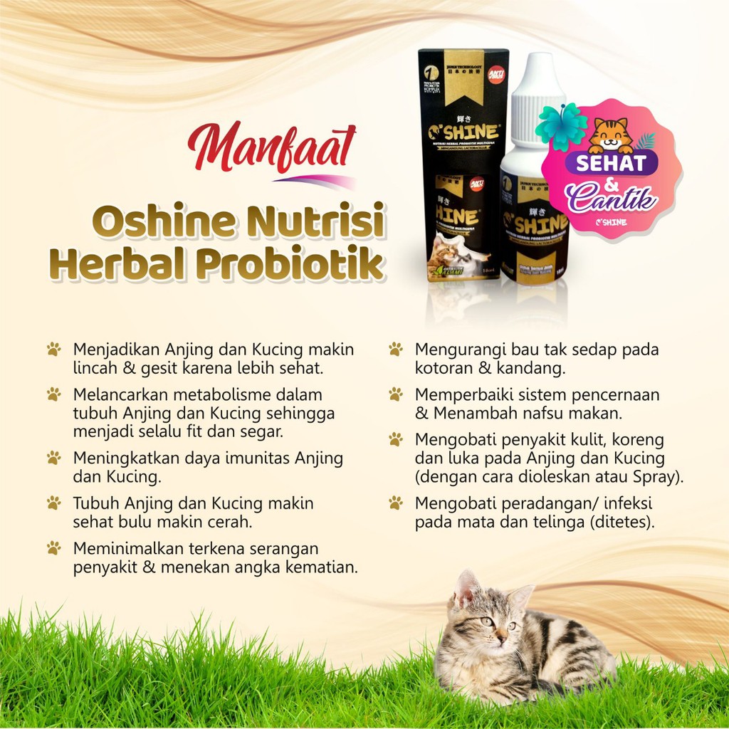 Paket Ektreeem Oshine Nutrisi Kucing Vitamin Kucing Penumbuh