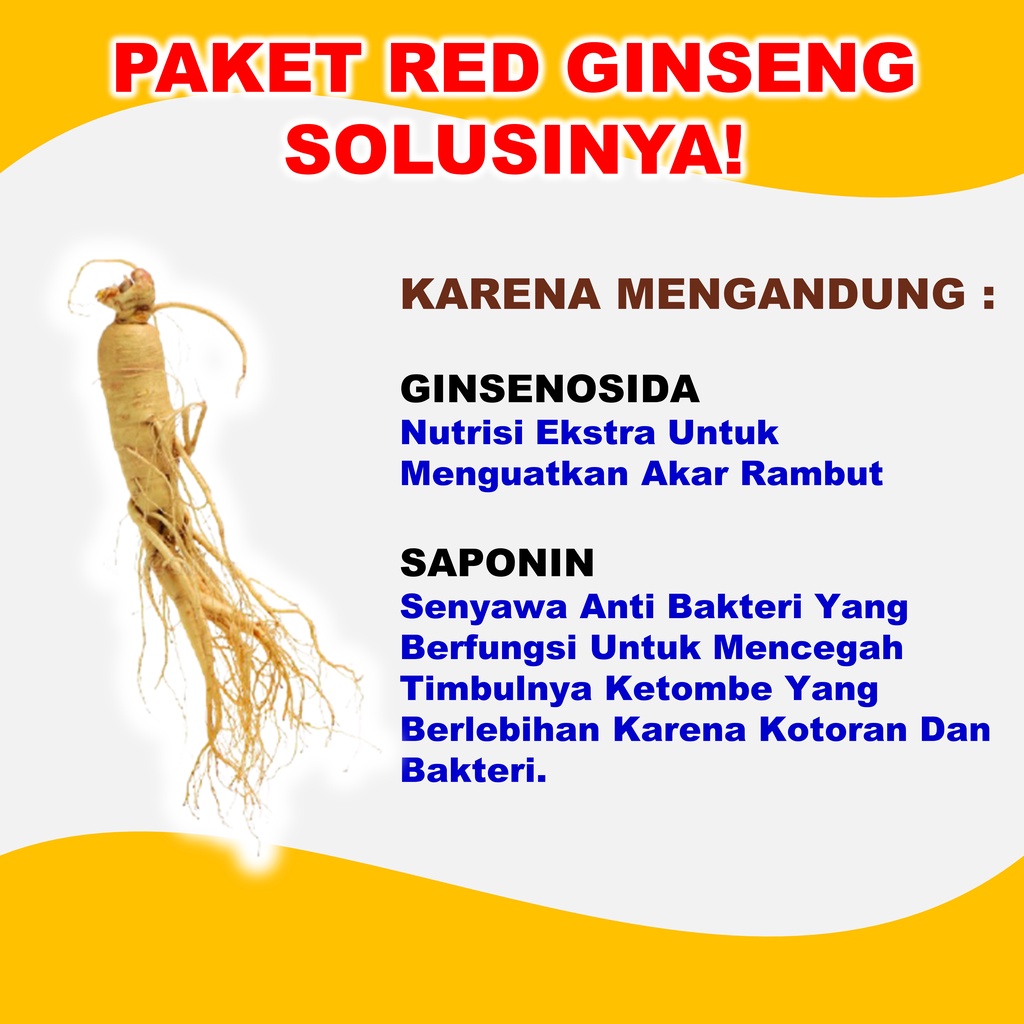 Perawatan Rontok Parah Dan Penyubur Rambut Red Ginseng Ampuh BPOM 250 ml B6P