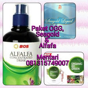 Paket OGG,Seagold & Alfafa