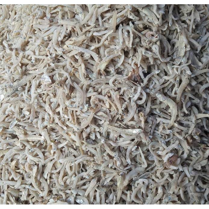 

Teri Buntiau (500gr)