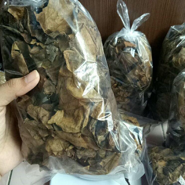 

《diskonlagi》 daun ketapang pesisir laut / daun ketapang olahan