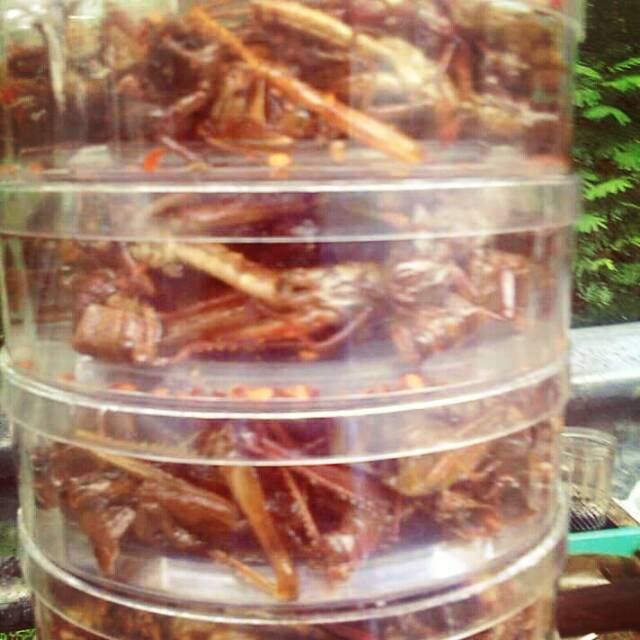 

Walang goreng mbahmii