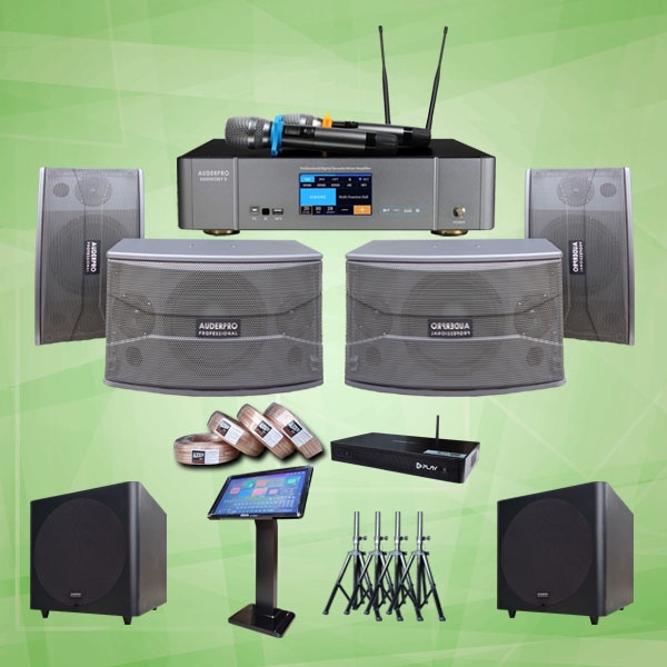 PAKET KARAOKE DIGITAL SOUND SYSTEM AUDIO PREMIUM D3: MIXER + SPEAKER AUDERPRO 10 INCH + SUBWOOFER 12