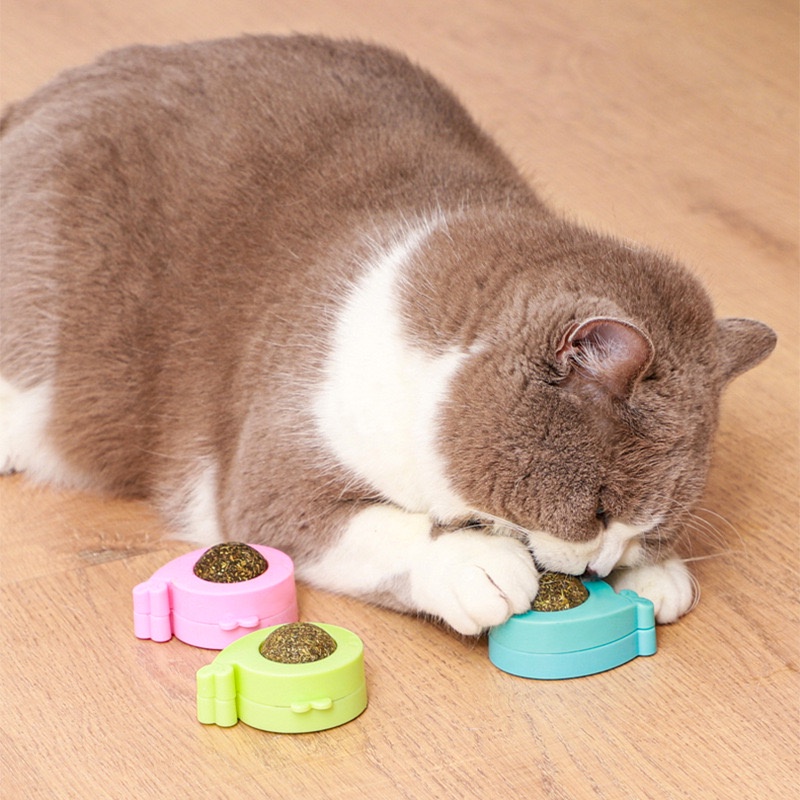 360 ROTATABLE TOY CATNIP UNTUK KUCING / ANEKA MAINAN CATNIP KUCING