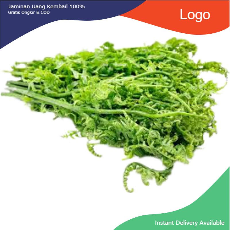 

Promo Sayur pakis 1kg baru petik daun pakis muda paku pakuan