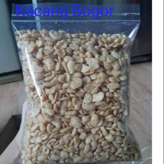 

Kacang bogor