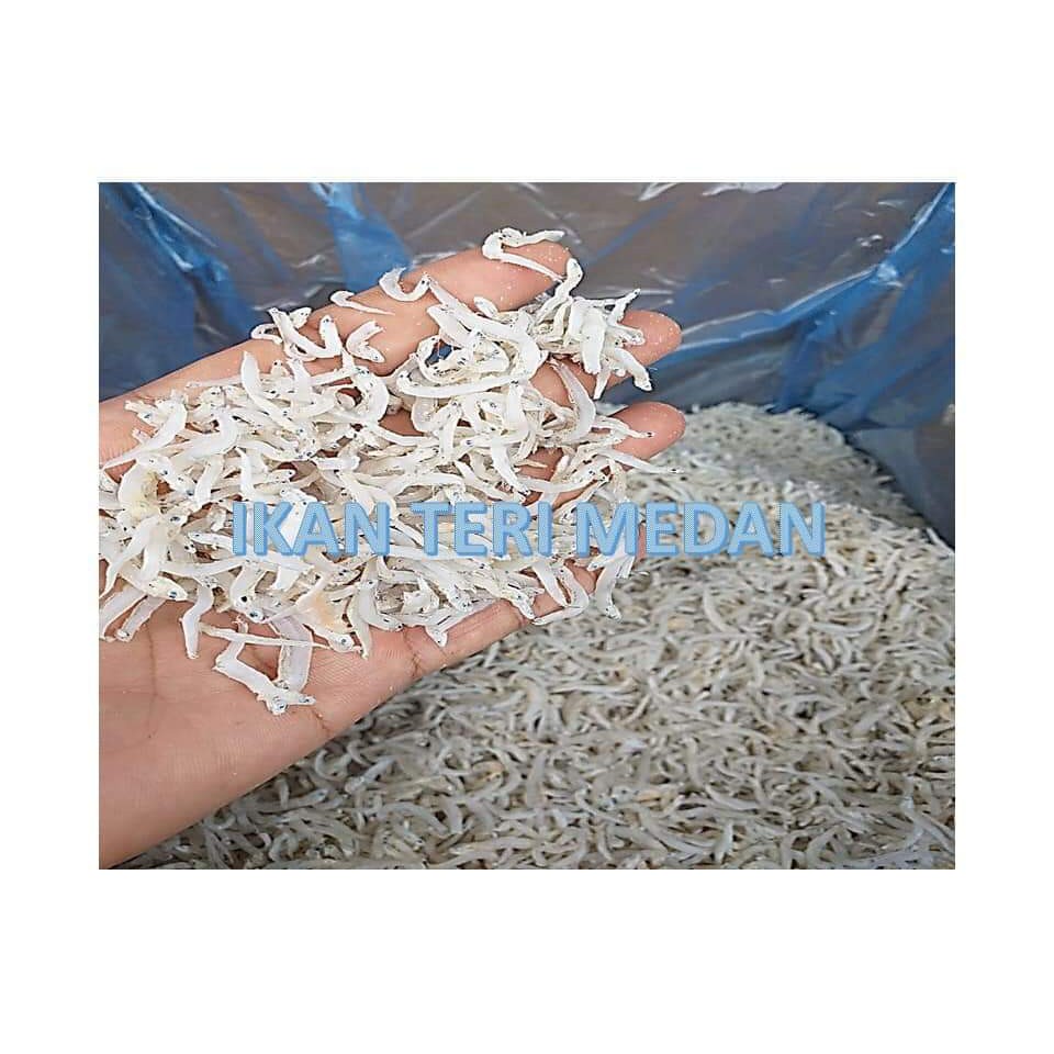 

Ikan Teri Medan