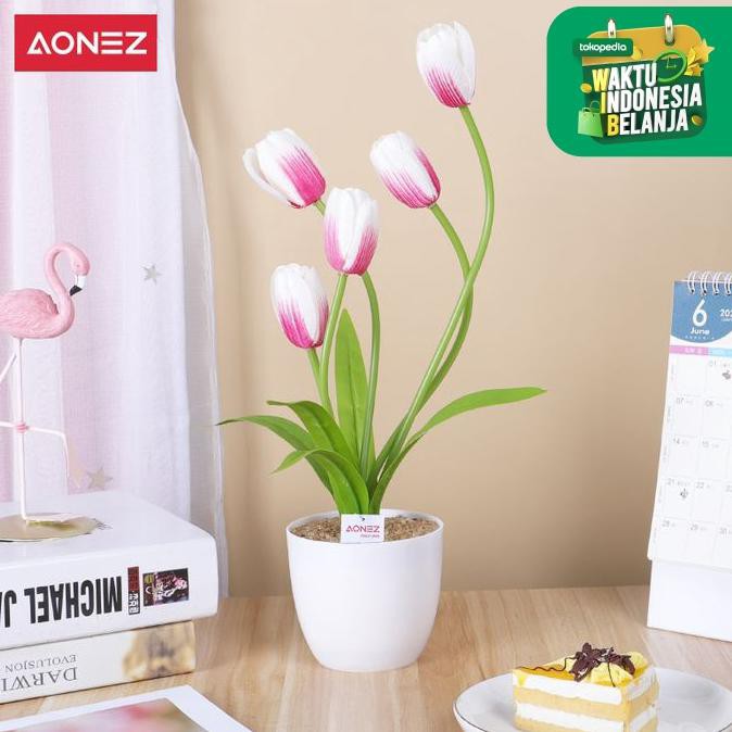 Terbaru Aonez Bunga Bongsai Tulip Dengan Pot Bunga Plastik - Merah Muda *