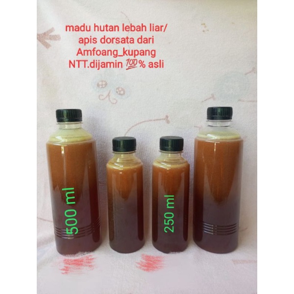 

MADU HUTAN DARI AMFOANG_KUPANG NTT