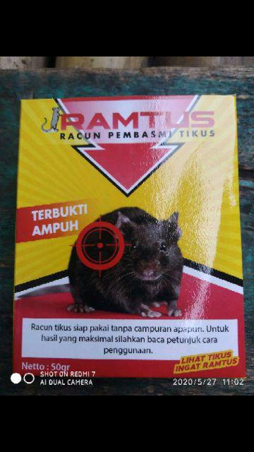 Racun Tikus Paling Tuntas Basmi Tikus Paling Ampuh - Temanggung