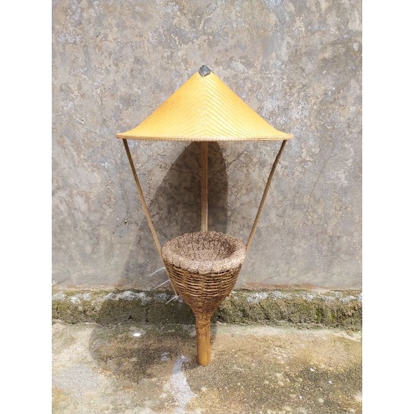 sarang burung cucak rowo