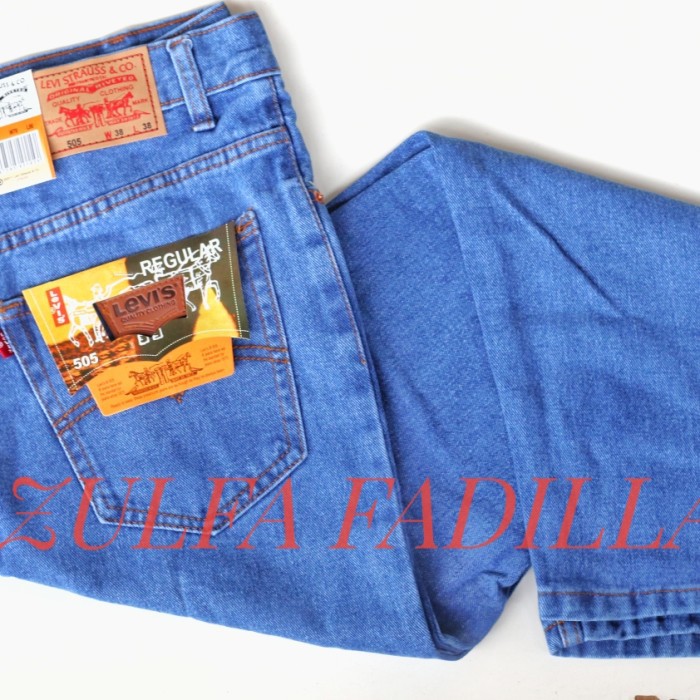 Celana Jeans Levis Pria Panjang Regular/Standar