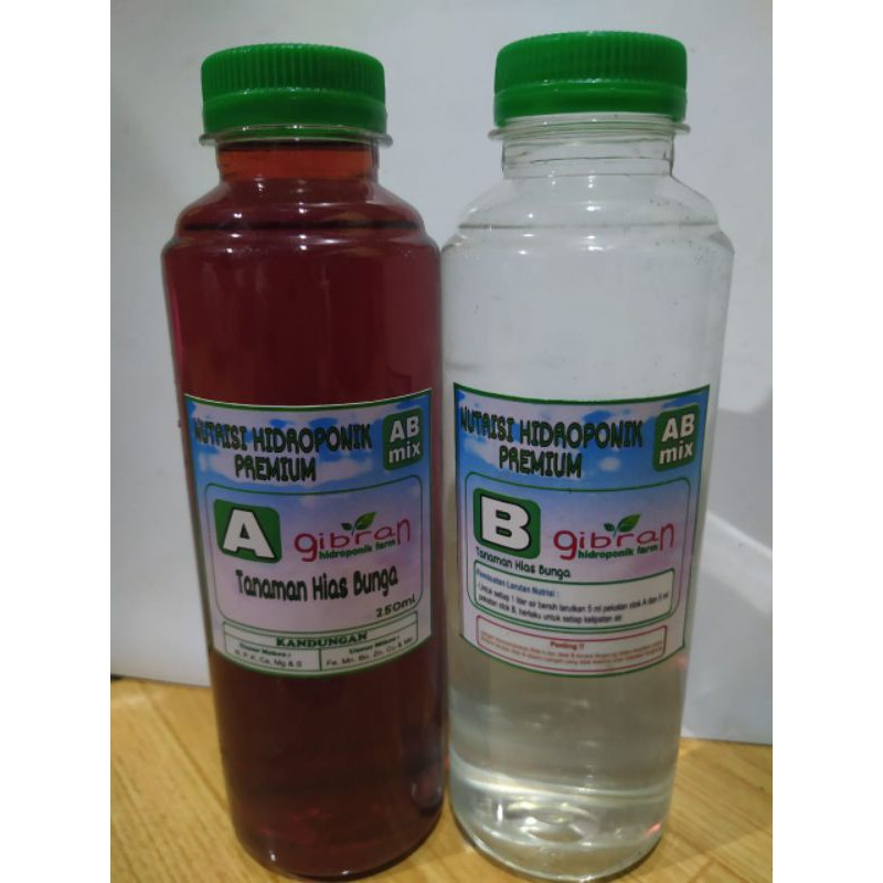 Nutrisi Tanaman Hias daun