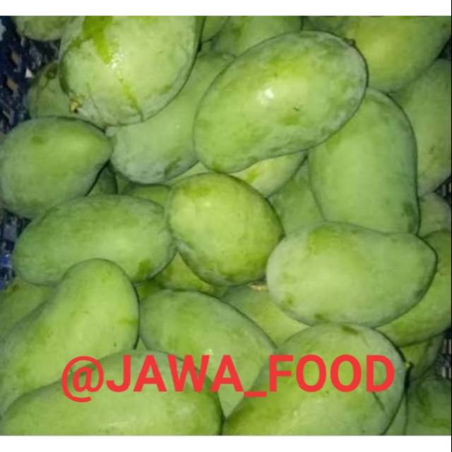 

MANGGA MUDA FRESH ORIGINAL / 1 kg